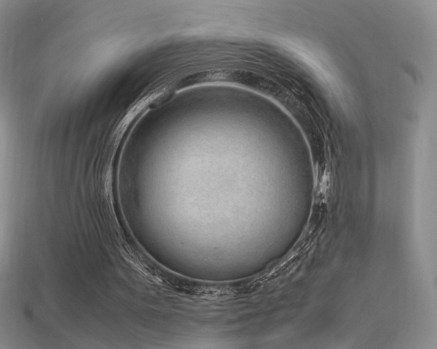 X0000115780099200911131256