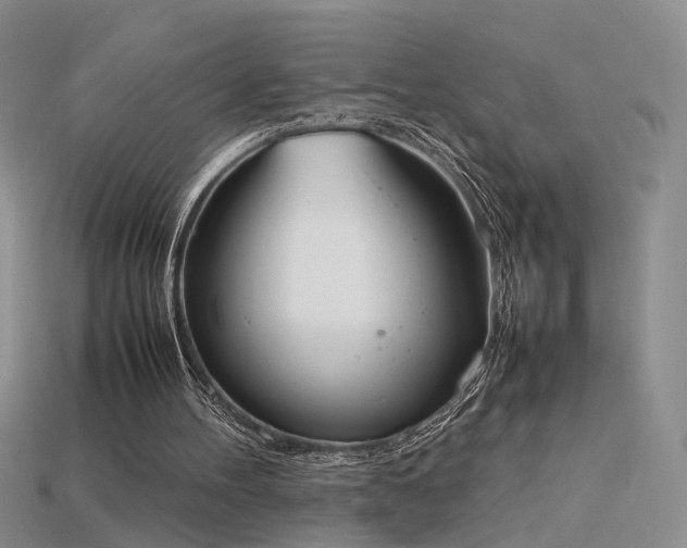 X0000115780100200911131256
