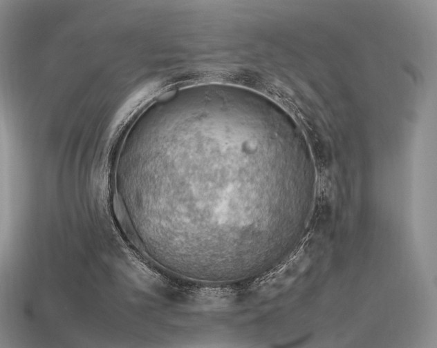 X0000115780101200911131256