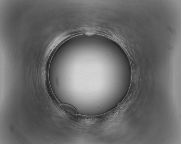 X0000115780103200911131256