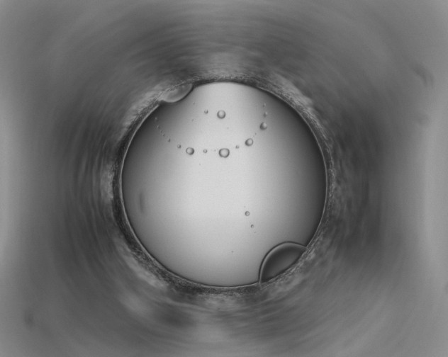 X0000115780106200911131256