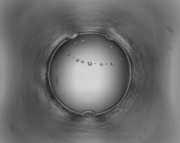 X0000115780107200911131256
