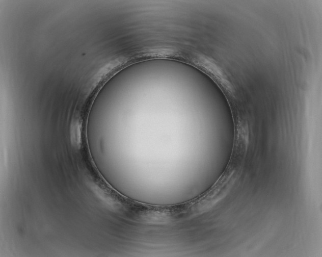 X0000115780110200911131256