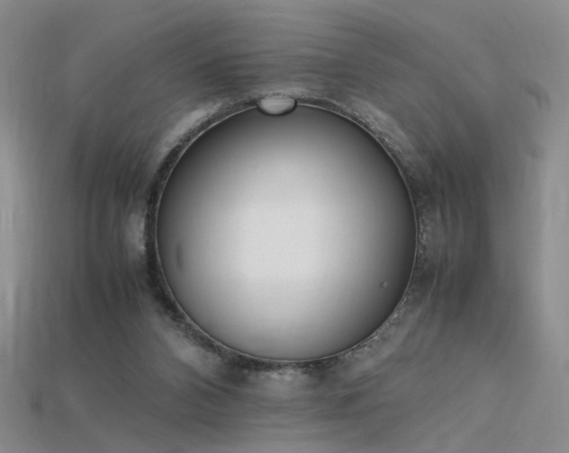 X0000115780112200911131256
