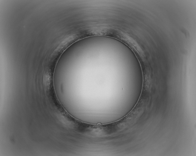 X0000115780113200911131256