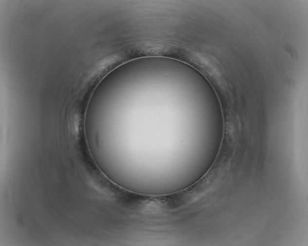 X0000115780115200911131255