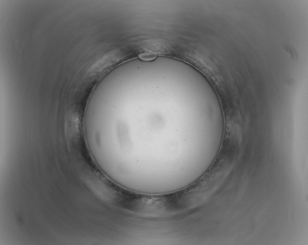 X0000115780117200911131255