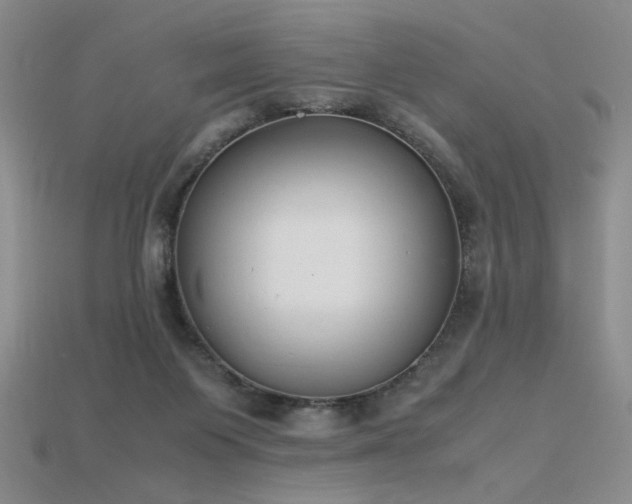 X0000115780119200911131255