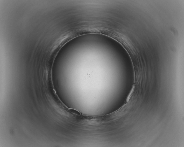 X0000115780120200911131255