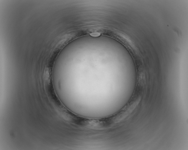 X0000115780121200911131255