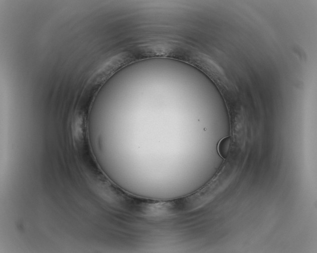 X0000115780122200911131255