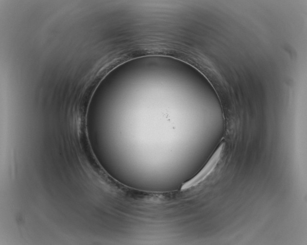 X0000115780124200911131255