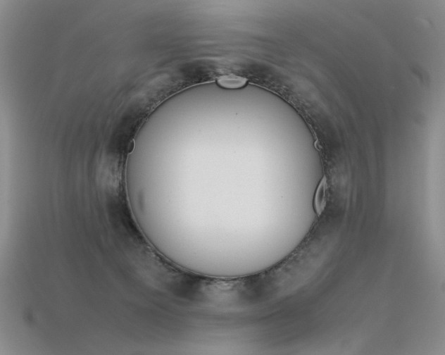 X0000115780129200911131255