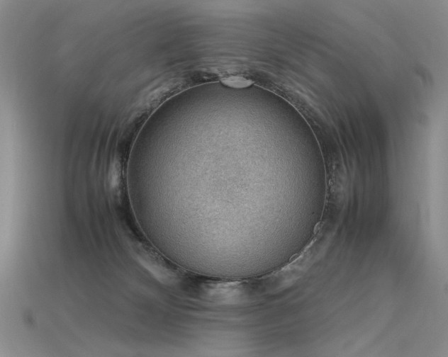 X0000115780132200911131255
