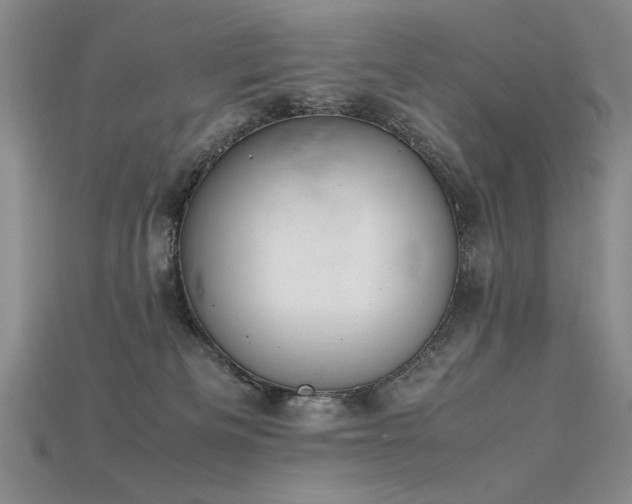 X0000115780133200911131255