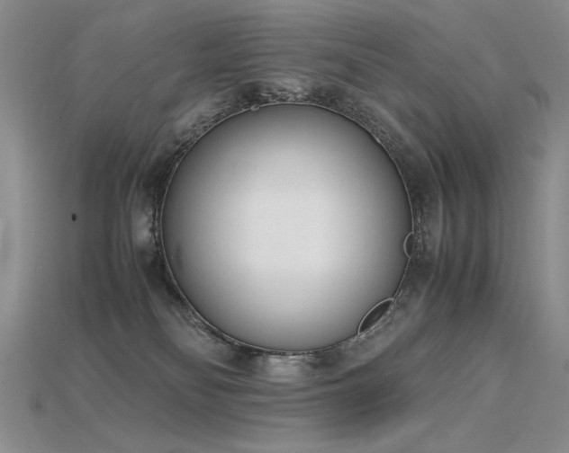 X0000115780134200911131255