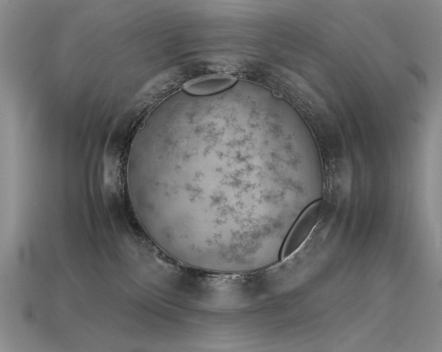 X0000115780136200911131255