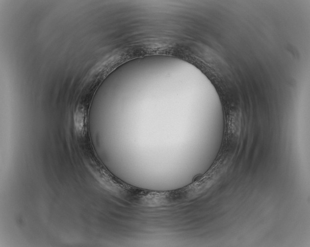 X0000115780138200911131255