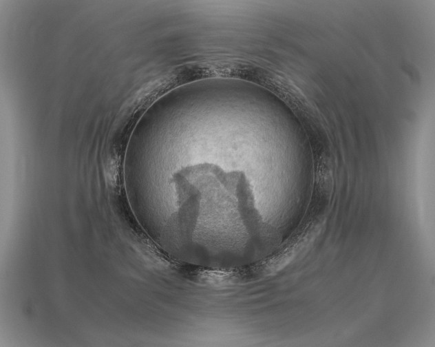 X0000115780139200911131255