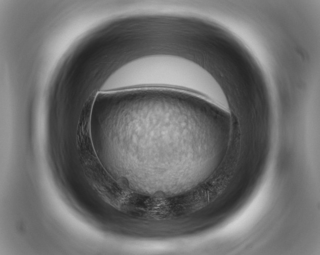 X0000115780143200911131255