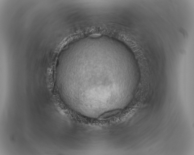 X0000115780144200911131255