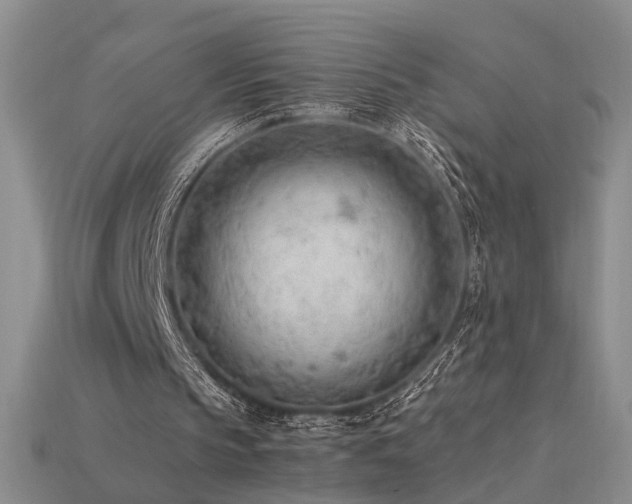 X0000115780145200911131254