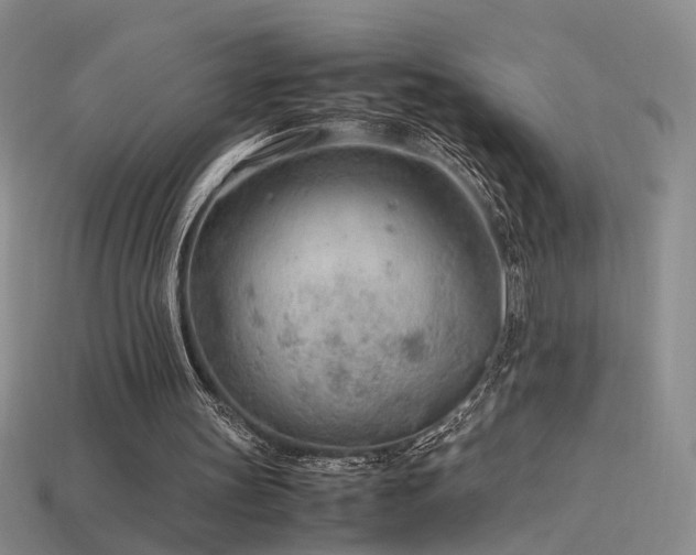 X0000115780147200911131255