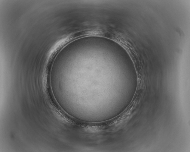 X0000115780149200911131255