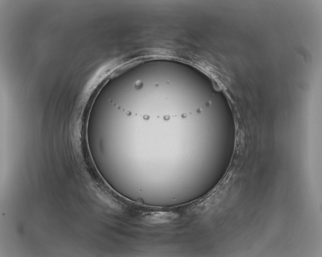 X0000115780151200911131255