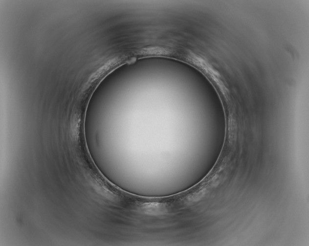 X0000115780153200911131255