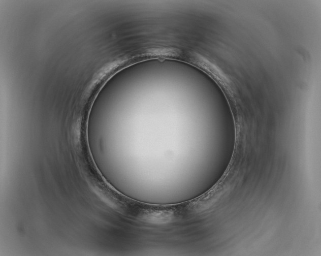 X0000115780155200911131255