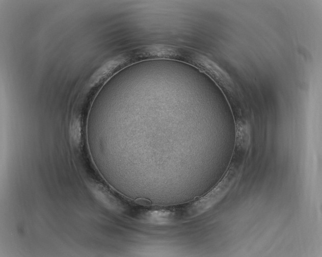 X0000115780158200911131255