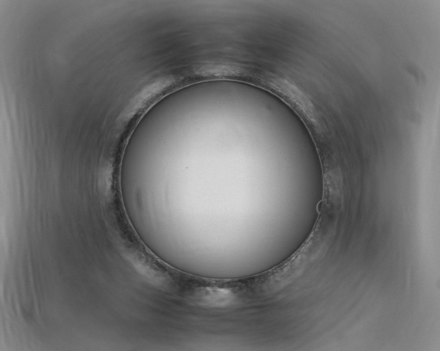 X0000115780159200911131255