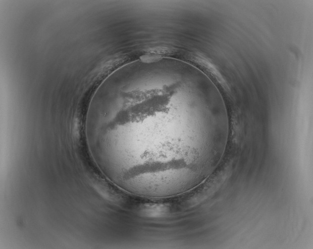 X0000115780161200911131255