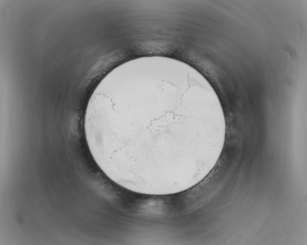X0000115780162200911131255
