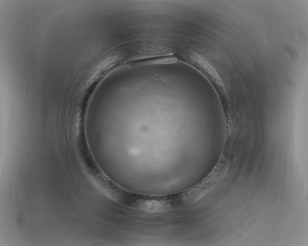 X0000115780163200911131255