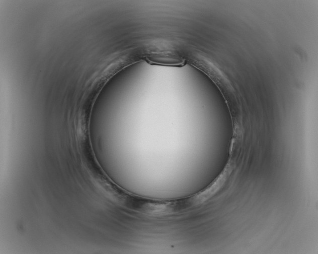 X0000115780170200911131255