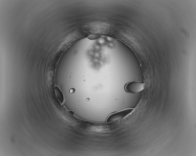 X0000115780171200911131255