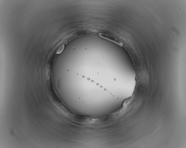 X0000115780174200911131255