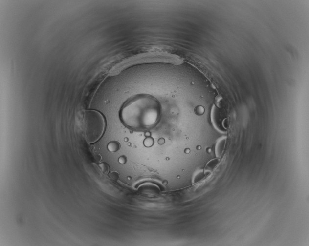 X0000115780175200911131255