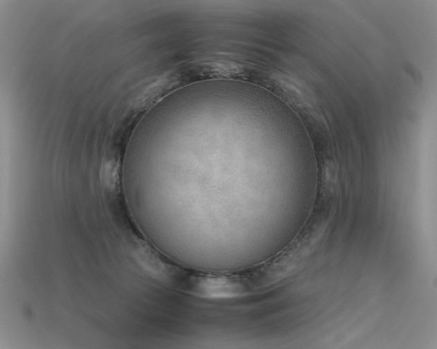 X0000115780177200911131255