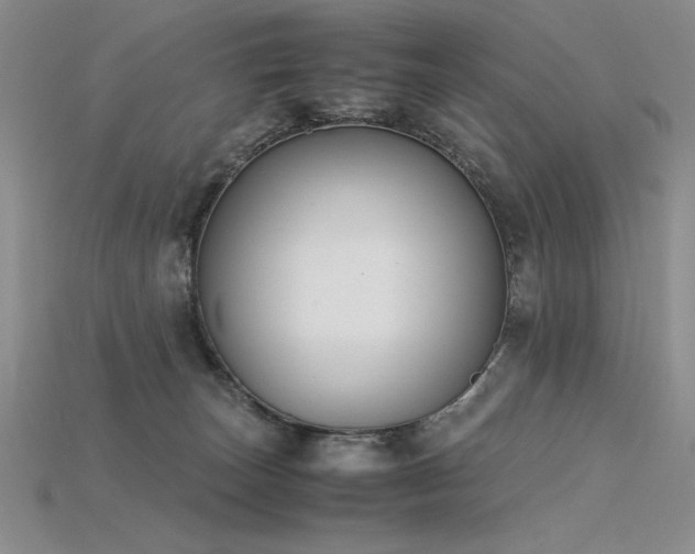 X0000115780179200911131255