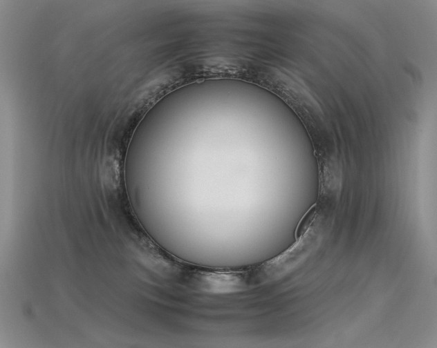 X0000115780183200911131255