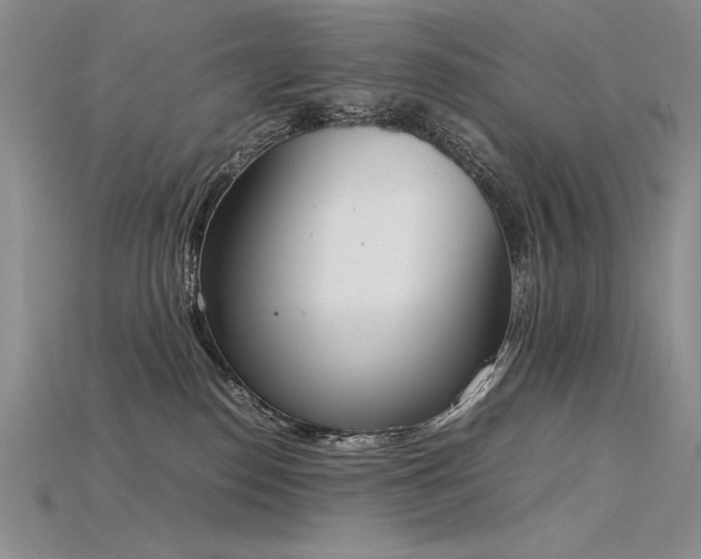 X0000115780186200911131255
