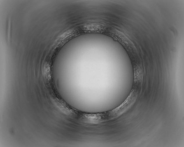 X0000115780187200911131255