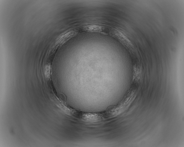 X0000115780189200911131255