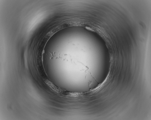 X0000115780190200911131255