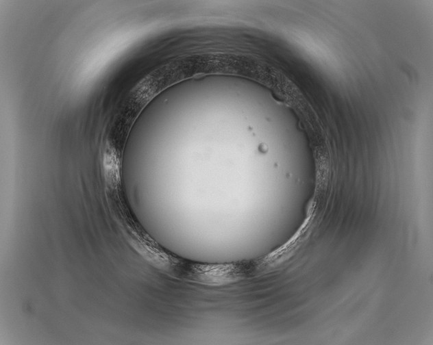 X0000115780191200911131255