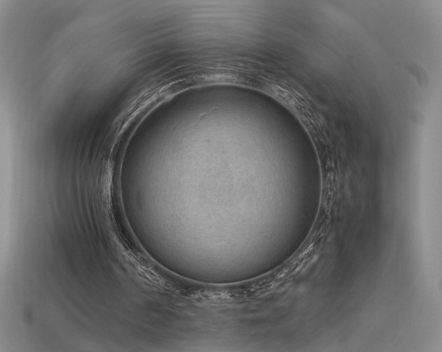 X0000115780194200911131254