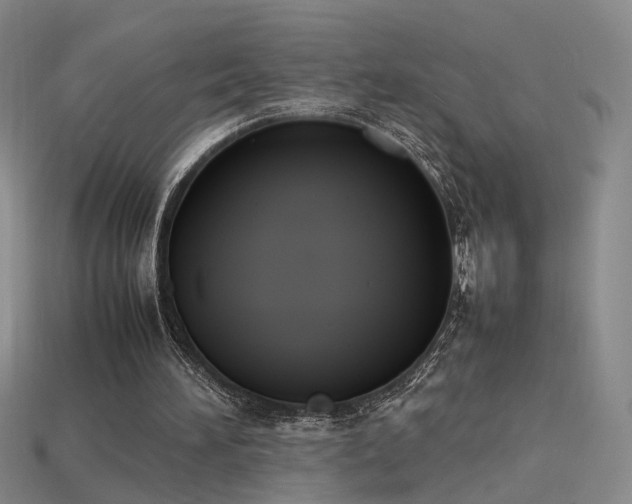 X0000115780196200911131254